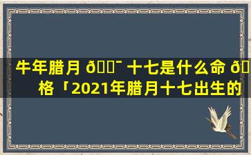 牛年腊月 🐯 十七是什么命 🐋 格「2021年腊月十七出生的宝宝好不好」
